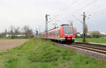 DB Regio 422 033 + 422 068 // Neuss-Elvekum // 12. April 2019