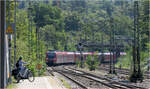 In der Großstadt und doch auch im Grünen - 

Einfahrt eines Langzuges auf der S-Bahnlinie S3 in die Haltestelle Nürnberger Straße in Stuttgart-Bad Cannstatt.

27.08.2024 (M)