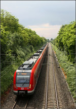 . Langzug in der grünen Schneise -

Ein Langzug auf der S2 gebildet aus drei Treibwagen der Baureihe 430 bei Rommelshausen auf der Fahrt in Richtung Schorndorf.

05.06.2016 (M)