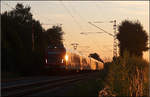 Bei sehr flach stehender Sonne -    S-Bahnzug der Baureihe 430 auf der S2 bei Weinstadt-Endersbach.