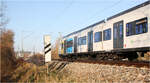 Vorbeifahrt III - 

... eines Vollzuges auf der Stuttgarter S-Bahnline S2 bei Rommelshausen. gebildet aus zwei Zügen der Baureihe 430 der neuen Serie. 

Nachschuss auf den Vorderwagen (leichter Mitzieher). Die Wagenteile sind durch Gelenke über Jakobsdrehgestelle miteinander verbunden. Im Zwischenwagen gibt es an einer Stelle anstelle der vier Sitzplätze nur einen Doppelplatz, erkennbar an dem schmalen Fensterteil rechts.

14.02.2023 (M)