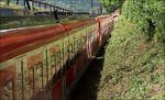 Rot und Grün -     Eine schöne Lichtwirkung ergibt sich durch die Reflektion und Spiegelung der von der Sonnen angestrahlten grünen Böschung auf den roten S-Bahnzug der Linie S1