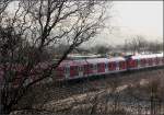 Knospen am Baum -    Im Mittelgrund ein S-Bahnzug der Baureihe 430 auf der Fahrt in Richtung Filderstadt zwischen Endersbach und Rommelshausen im Remstal.