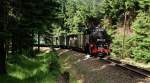 99 1741 mit P1005 bei Kretscham-Rothensehma (Fichtelbergbahn) [16.07.2013]