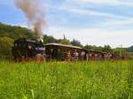 Ein Bild von der Hrtsfeld-Museumsbahn: Die Schmalspur-Tenderlok steht am 01.07.07 mit einem nostalgischen Personenzug im Haltepunkt Sgmhle.