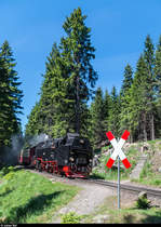 99 7247 fährt am 1. Juni 2017 mit einem Personenzug vom Brocken talwärts. Aufgenommen beim Bahnübergang Pfarrstieg.