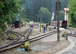 Eine viertel Stunde später war es mit der Ruhe in Eisfelder Talmühle vorbei, die Planzüge(Triebwagen nach Nordhausen und der Dampfzug Wernigerode-Eisfelder Talmühle und zurück) sorgten für Abwechslung. 13.07.2013