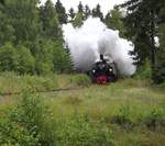 Etwa 1 km vor Elend kommt unser Sonderzug auf dem Weg nach Benneckenstein aus dem Wormketal gedampft, um gleich recht steil ins Tal der Kalten Bode nach Elend zu rollen. 