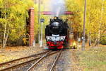 Einfahrt von 99 6001 mit P 8965 (Gernrode - Hasselfelde) am Nachmittag des 20.10.2018 in den Haltepunkt Silberhütte/Anhalt.