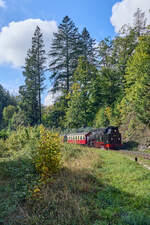 99 222 hatte am 05.10.2024 Zug 8944 vom Brocken nach Wernigerode am Haken.