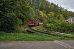 Einige Brockenzüge wurden 2024 mit Diesel bespannt. 199 874 zog am 05.10.2024 Zug 8935 von Wernigerode zum Brocken. Nach Durchfahren einer 180°-Kurve wird in Kürze der Bahnhof Steinerne Renne erreicht.