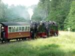 Der Dixie Train 2010 auf der Rckfahrt nach Quedlinburg durch das Selketal (26.06.10)