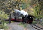 99 6001-4 zieht ihren Personenzug 8954 Alexisbad - Quedlinburg durch die engen Kurven des wunderschnen Selketales, Selketalbahn im Harz (1.000mm Spurweite), fotografiert bei Drahtzug am 30.10.2011