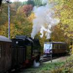 In Mgdesprung begegnen sich der TW nach Quedlinburg und der Personenzug nach Hasselfelde. Bei gutem Fotowetter am 13.10.2013 gegen 14:29 Uhr.