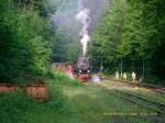 Mit dem ersten Zug des Tages steht die 99 72 im Bahnhof Steinerne Renne