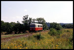 Der VT 187013 der HSB,ex Langeooger Inselbahn, war am 20.8.1996 um 14.03 Uhr am Stadtrand von Nordhausen nach Illfeld unterwegs.