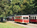 Der Borkumer  Wismarer Schienenbus  ist im September/Oktober 2023 bei der Molli in Kühlungsborn/Bad Doberan zu Gast. Der Gegenbesuch einer Molli-Dampflok erfolgte bereits 2019 auf Borkum.

Hier ist der T1 am 23.09.2023 an der Station  Rennbahn  bei einer Zugkreuzung mit einem Regelzug zu sehen.

Kühlungsborn, der 23.09.2023