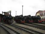 LOKPARADE mit neuer MOLLI-Dampflok BR 99 2324-4, BR 99 2323-6, BR 99 2322-8 und BR 99 2321-0, Khlungsborn-West 10.07.2009  