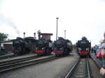 Die Lokparade im Bf Khlungsborn-West mit allen betriebsfhigen Dampfloks der Molli incl.