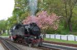 99 2323 beim Umsetzten in Bad Doberan - 08.05.2010  Wenigstens anhand der Bume kann man erahnen da  Frhling  ist...