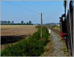 - Telegraphenmasten - An der gesamten Strecke der Mecklenburgischen Bderbahn Molli gibt es, bis auf einige Unterbrechungen, noch die Telegraphenmasten, wie hier zwischen Heiligendamm und Khlungsborn