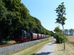 Der Molli neben dem Radweg zwischen Heiligendamm und Bad Doberan, hier auf dem Weg nach Khlungsborn.