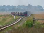 Das Dampfross 99 2323-6 schnaubt unüberhörbar über die Felder an der Ostseeküste. Nächster Halt ist Kühlungsborn Ost. 26.7.2013