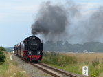 Molli mit Höchstgeschwindigkeit unterwegs: Auf der geraden Strecke zwischen Kühlungsborn und Heiligendamm werden 40 km/h erreicht. 30.7.2016