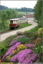 Die Gartenblumen bringen am 25.05.08 wenigstens etwas Farbe ins Bild, als der VT 137 322 Neuheide in Richtung Sttzengrn verlsst.