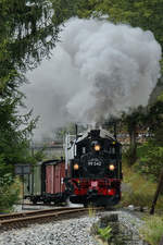 Die Dampflokomotive 99 542 auf der Strecke zwischen Steinbach und Schmalzgrube.