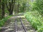 Dies sind die noch heute vorhandenen berreste der im Jahr 1967 stillgelegten Bahnstrecke von Putbus nach Altefhr auf der Insel Rgen.