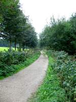 Die Schmalspurtrasse zwischen Jahnsbach und Hormersdorf in Auerbach, 07.09.07