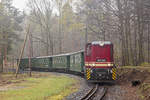 Der 199 018 mit dem Zug von Kurort Oybin, die Ankunft zum Bahnhof Bertsdorf am 14. April 2019.