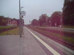 99 731 mit Personenzug aus Zittau fhrt am 15.07.2003 im Bahnhof Kurort Oybin ein, im Hintergrund der Ameisenberg.