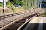 Lauf  Kaninchen , lauf, zum Glück hat der RE nach Dresden Verspätung.28.09.2014 12:35 Uhr  Bahnhof  Freiberg