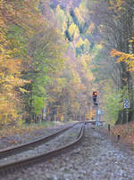 Auch in der Lausitz, hier die Doppelkurve vor Neukirch (Lausitz) West, zeigt sich der Herbst aktuell noch bunt.