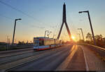 MGT-K (Bombardier Flexity Classic), Wagen 693 und 694, fahren auf der Berliner Brücke in Halle (Saale) der Sonne davon.