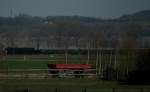 Ein typisches Bild fr den Eisenbahnfotografen, falscher Ort zur falschen Zeit.
Als am 18.03.2012 gegen 11:55 Uhr ein deutlich hrbarer  Lokomotivpfiff das Jubulieren der Lerchen in der Nassau bertnte, war der Fotograf noch ca. 1 km von der Strecke entfernt.... 
Das Bild wird sicher abgelehnt, aber vielleicht hatte jemand mehr Glck eine 52 (??) mit
DR Y-Wagen an diesem Tage vor die Linse zu bekommen.