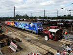 Ein Blick über einen Teil der am 14.09.2008 im Bw. Mainz-Bischofsheim ausgestellten Fahrzeuge mit der 381 020 im Vordergrund.