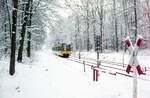 SSB Stuttgart__S-DT8-Zug auf Linie 3 im Wald nach der Haltestelle 'Landhaus' nach Plieningen.__12-1986