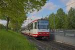 Wagen 329 und ein weiterer modernisierter B-Wagen an der Haltestelle Eierkampstraße (23.04.2024)