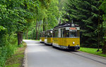 Vom Lichtenhainer Wasserfall kommend erreicht diese Kirnitzschtalbahn am 16.06.16 die Haltestelle Mittelndorfer Mühle.