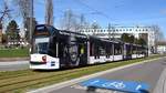 Freiburg im Breisgau - Straßenbahn Siemens 286 - Aufgenommen am 16.03.2019