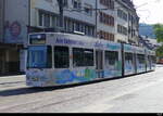 VAG Freiburg i.B. - Strassenbahn DUEWAG GT8Z Nr.257 unterwegs auf der Linie 2 in der Stadt Freiburg am 2024.06.07