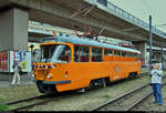 50 Jahre Tatrawagen in Halle (Saale)  Anlässlich ihrer 50-jährigen Betriebszugehörigkeit im halleschen Straßenbahnnetz veranstalten die Halleschen Straßenbahnfreunde e.V.