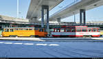 Arbeitsfahrzeug Tatra T4D-C (Wagen 035) und Fahrschulwagen (Wagen 985) stehen als Winterdienst am Riebeckplatz in Halle (Saale), während einige Mitarbeiter gerade die Gleise beräumen.

🧰 Hallesche Verkehrs-AG (HAVAG)
🕓 11.2.2021 | 12:22 Uhr