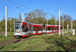 MGT-K (Bombardier Flexity Classic), Wagen 676 und 675, brechen in der Haltestelle Soltauer Straße in Halle (Saale) zu einer neuen Fahrt auf.

🧰 Hallesche Verkehrs-AG (HAVAG)
🚋 Linie 9 Soltauer Straße–Hauptbahnhof
🕓 26.4.2023 | 8:20 Uhr