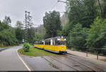 Gothawagen Nr. 2 wartet mit Beiwagen 24 und 21 am Lichtenhainer Wasserfall auf die Abfahrt nach Bad Schandau.
An diesem Sonntagabend hatte es geregnet, niemand war mehr unterwegs und so hatte der Fotograf die Bahn für sich allein.

🧰 Regionalverkehr Sächsische Schweiz-Osterzgebirge GmbH (RVSOE)
🚋 Kirnitzschtalbahn Lichtenhainer Wasserfall–Bad Schandau Kurpark
🕓 18.8.2024 | 18:05 Uhr