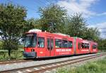 Straßenbahn Mainz / Mainzelbahn: Adtranz GT6M-ZR der MVG Mainz - Wagen 203, aufgenommen im August 2017 bei der Bergfahrt zwischen Mainz-Lerchenberg und Mainz-Marienborn.
