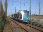 Potsdam: Straenbahnlinie 92 nach Bornstedt Kirschallee an der Haltestelle Kirchsteigfeld Marie-Juchacz-Strae.